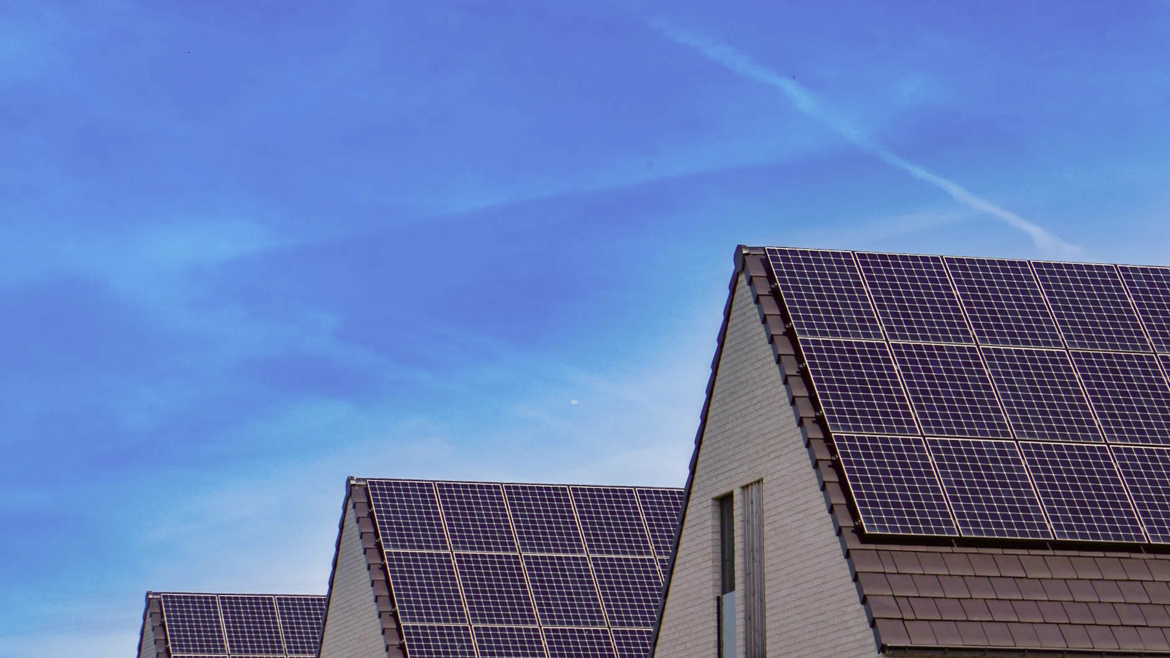 Tło strony głównej